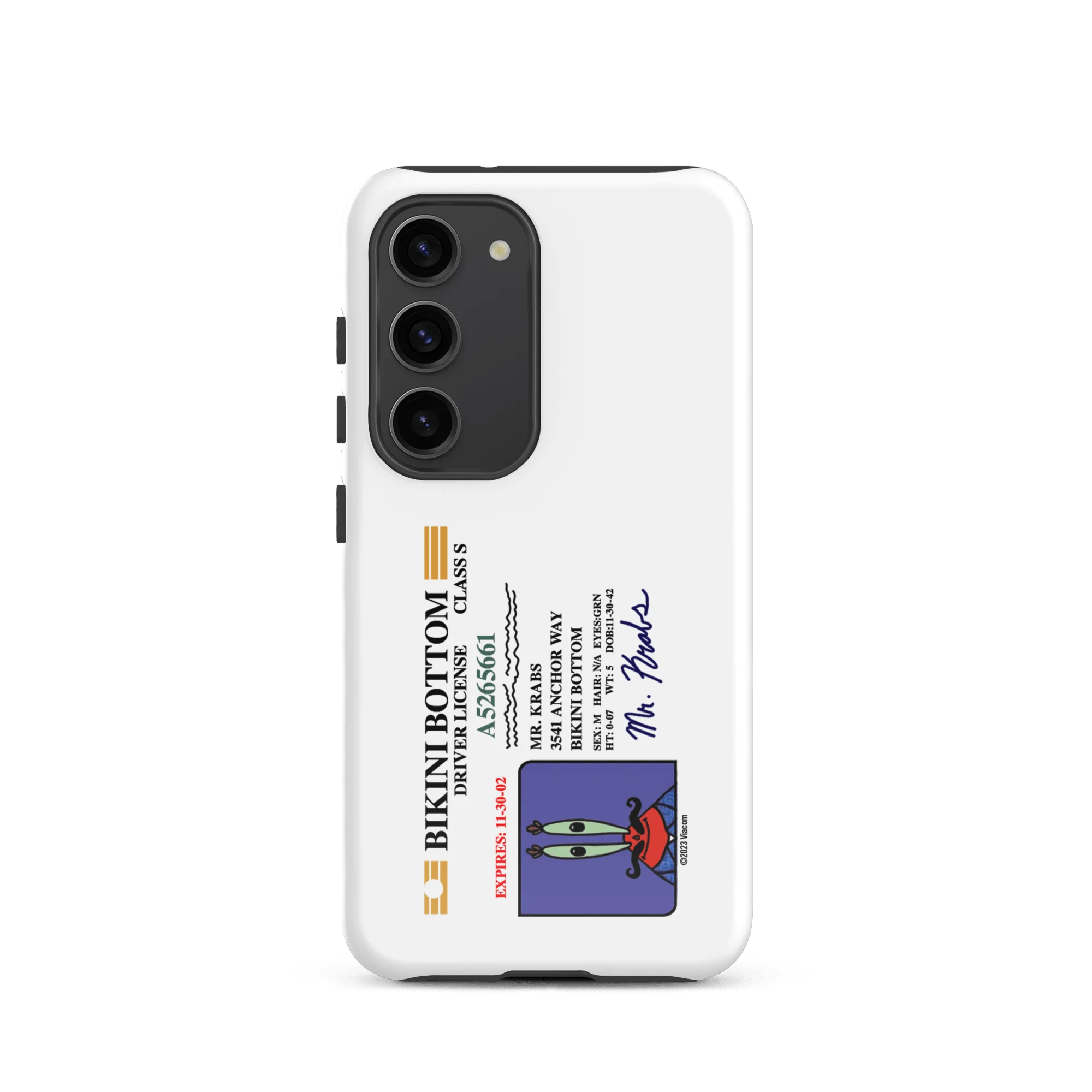 Thumbnail 34